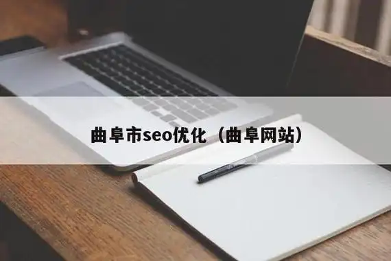 曲阜专业SEO软件如何提升排名？效果能否超越传统推广？