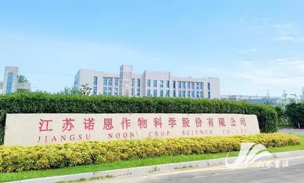 怀化神马SEO优化公司如何实现排名突破？效果能否持续稳定？