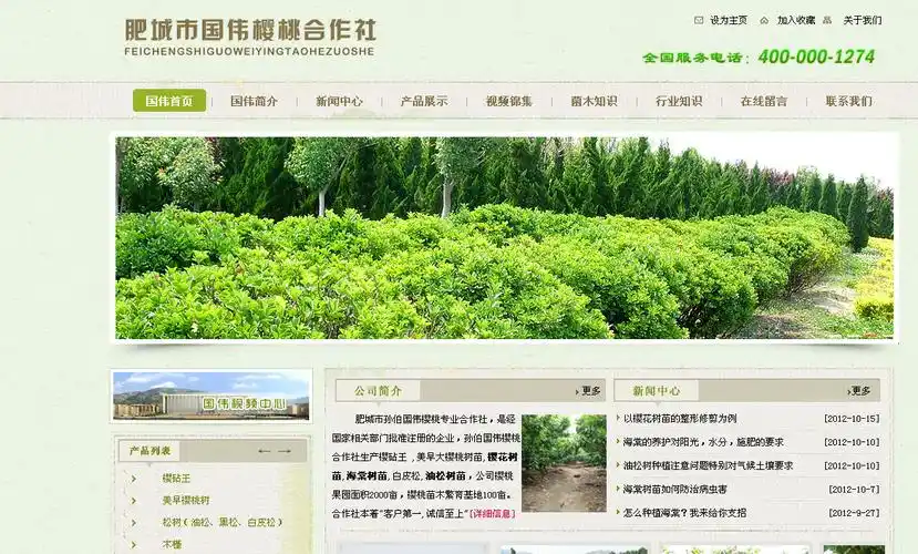 合肥站内SEO怎么做？如何提升搜索排名表现？