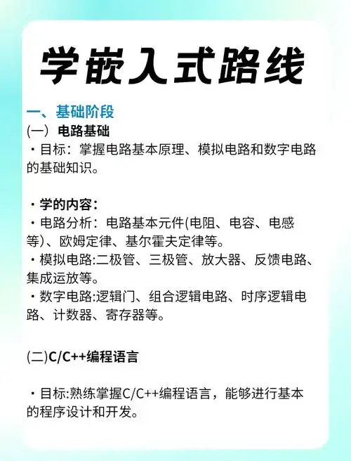 seo入门需要什么文化程度？ 学习路径与学历要求有哪些关联？