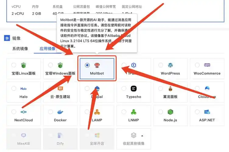 SEO观察室是不是博客，它提供哪些SEO操作指导