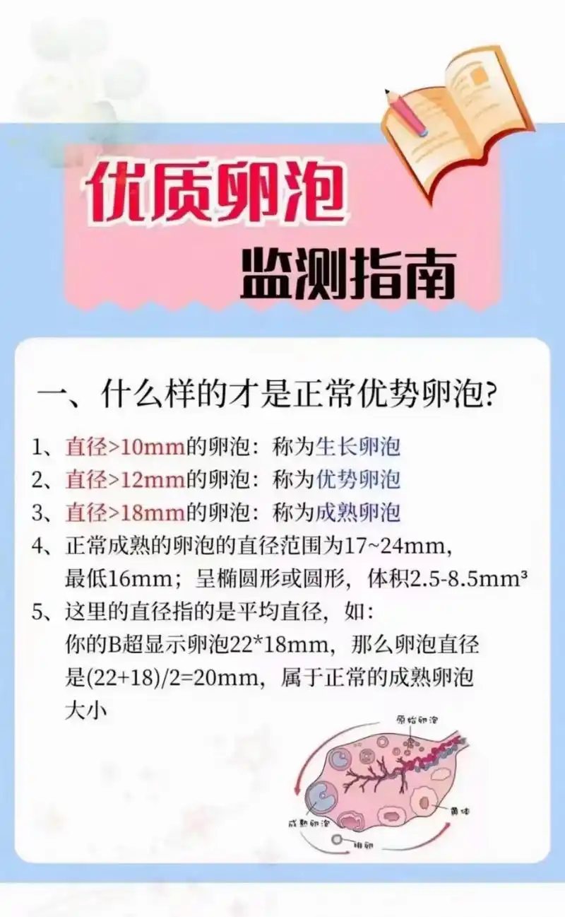 SEO监测卵泡生长如何实现？ 它对提升网站健康度有何帮助？