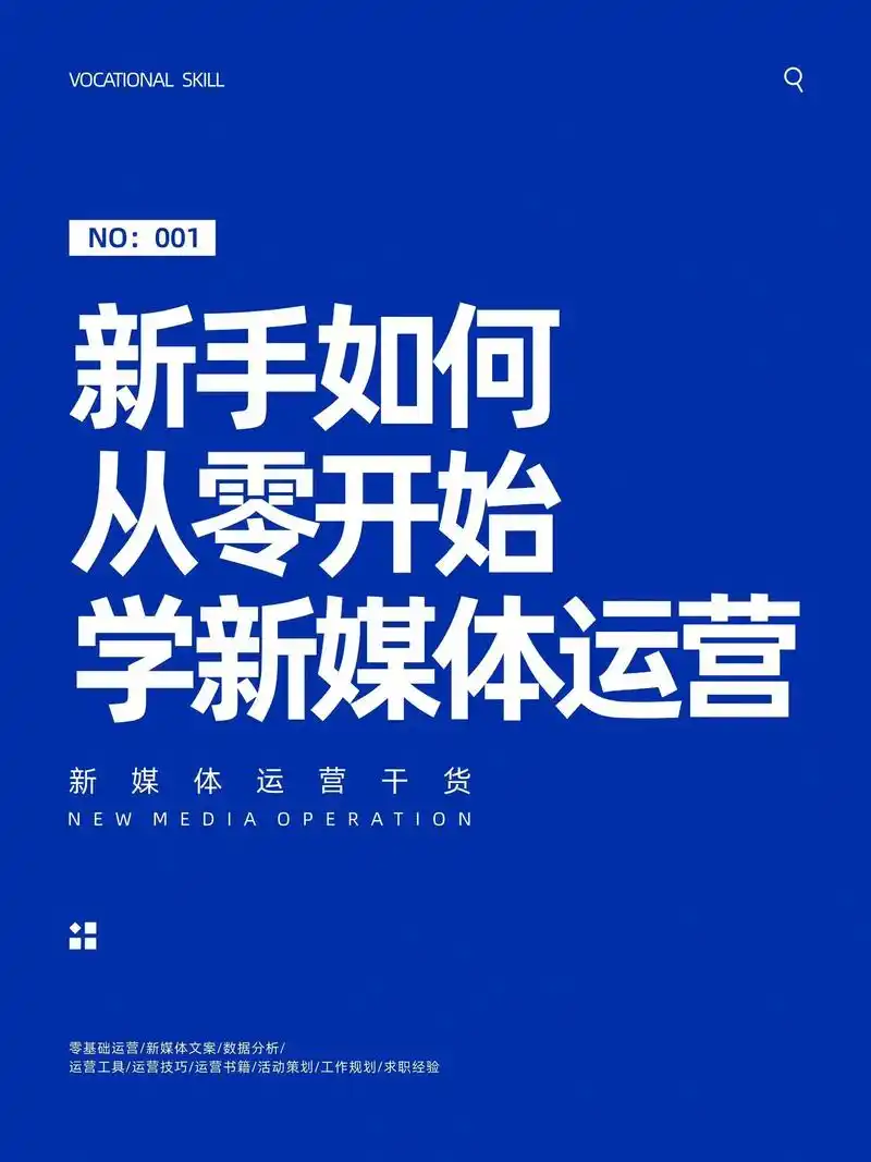 如何让网站流量翻倍增长？小白转型SEO真能成功吗
