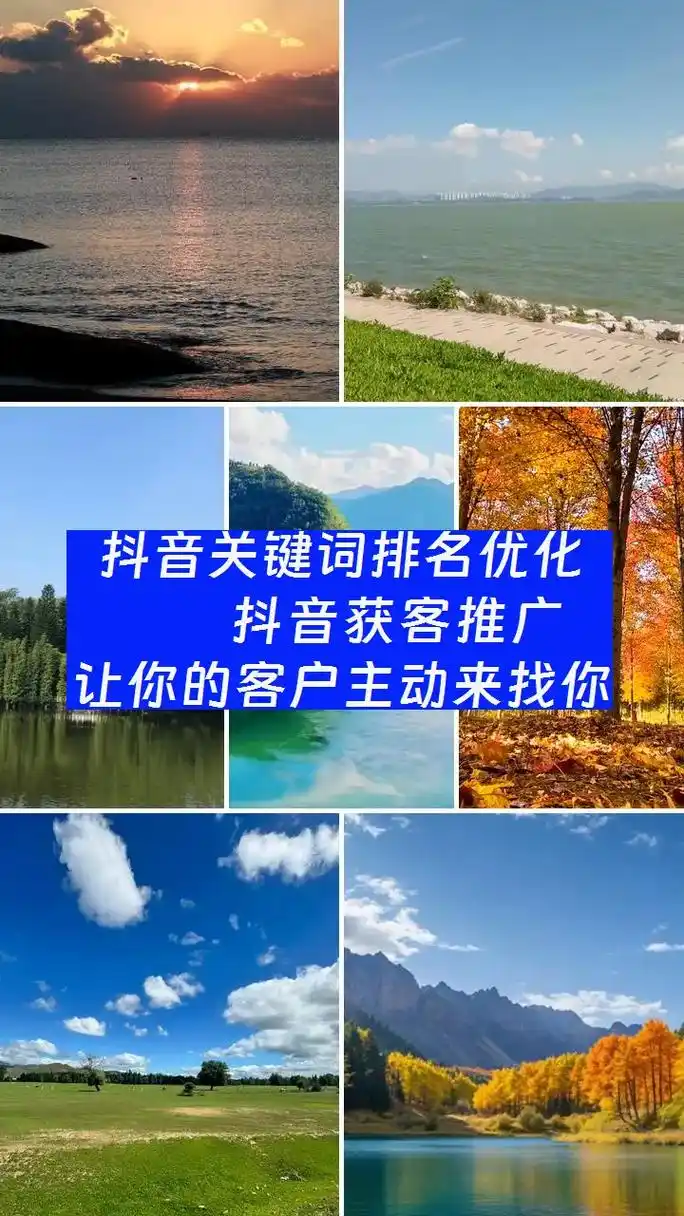 清溪抖音SEO软件公司哪家靠谱？ 它们如何帮商家提升排名？