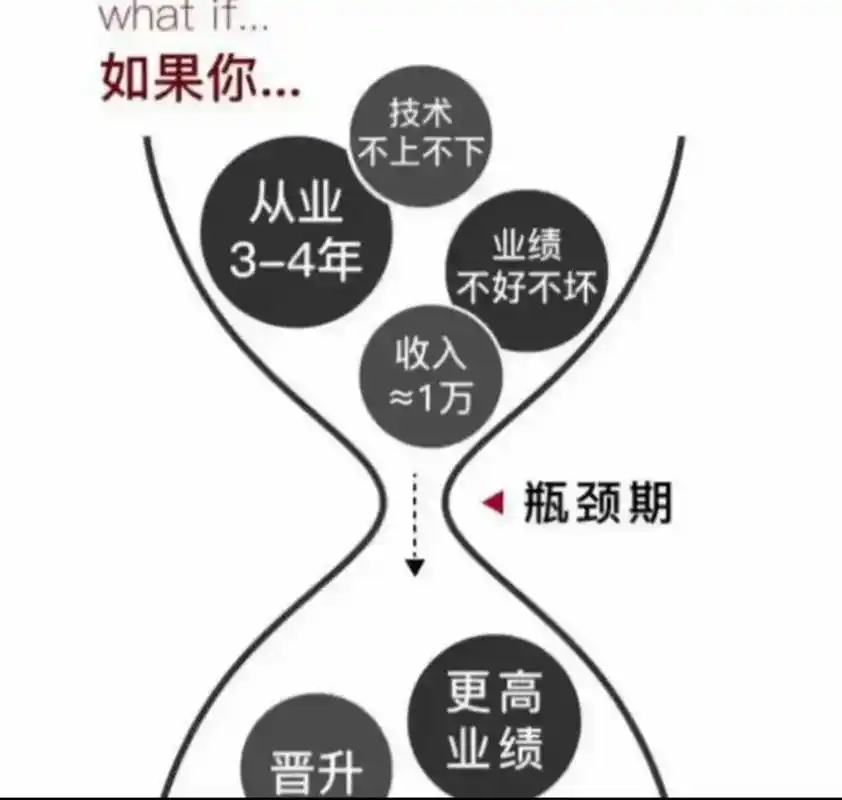 讷河SEO优化如何突破流量瓶颈？哪些方法能持续提升排名？