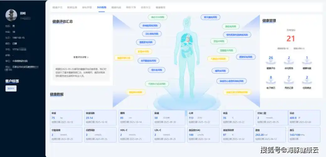 如何判断网站SEO健康度？哪些数据能直接反映优化效果？
