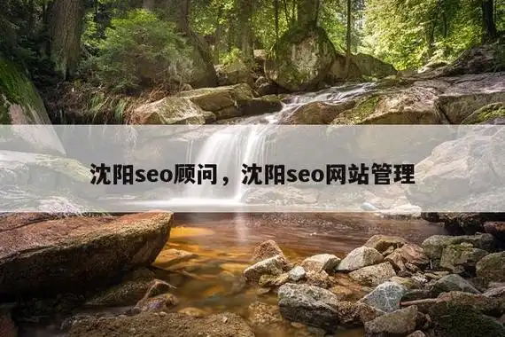 沈阳有哪些靠谱的抖音SEO优化公司可以选？