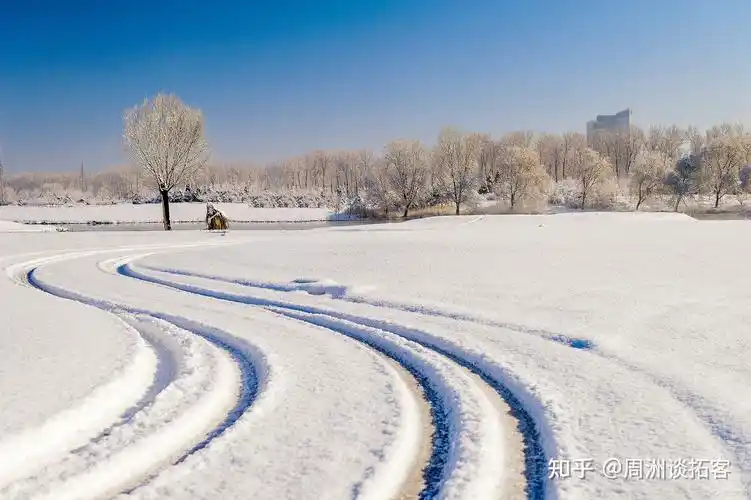 雪无痕seo深度解析：网站排名停滞的真相？流量增长的隐性瓶颈？