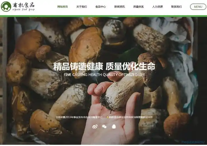 甘肃SEO服务为何非选企业级？专业效果怎样保障？