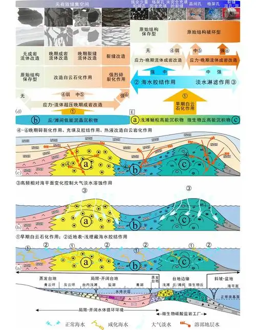 SEO今后的生存空间究竟在哪里？ 如何适应搜索生态的持续演变？