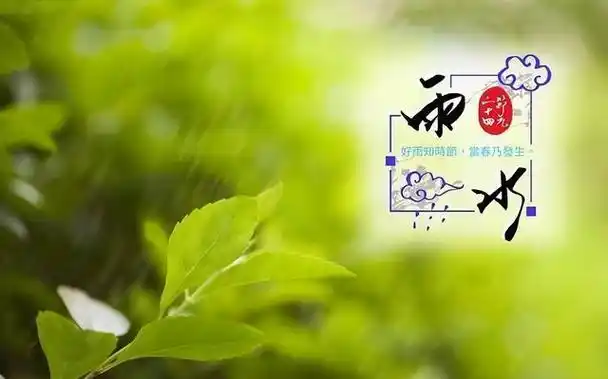 绿色帽檐下的SEO排名如何消亡？流量滑坡前有何预兆？