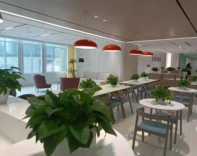 西口seo公司全进上海百首是真实事件还是网络传闻？这家公司的技术背景和服务质量究竟如何？