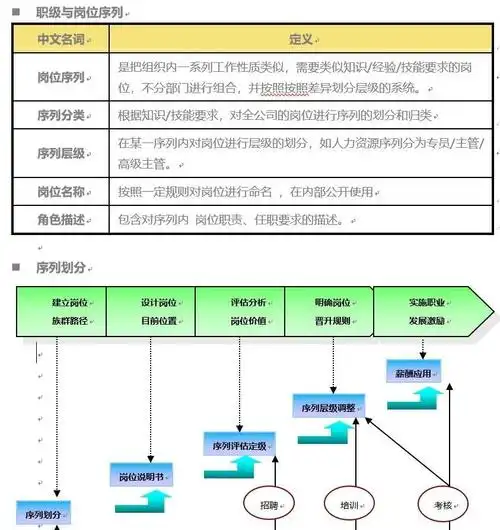 学会SEO后，能走哪些职业路径？哪些岗位更值得？
