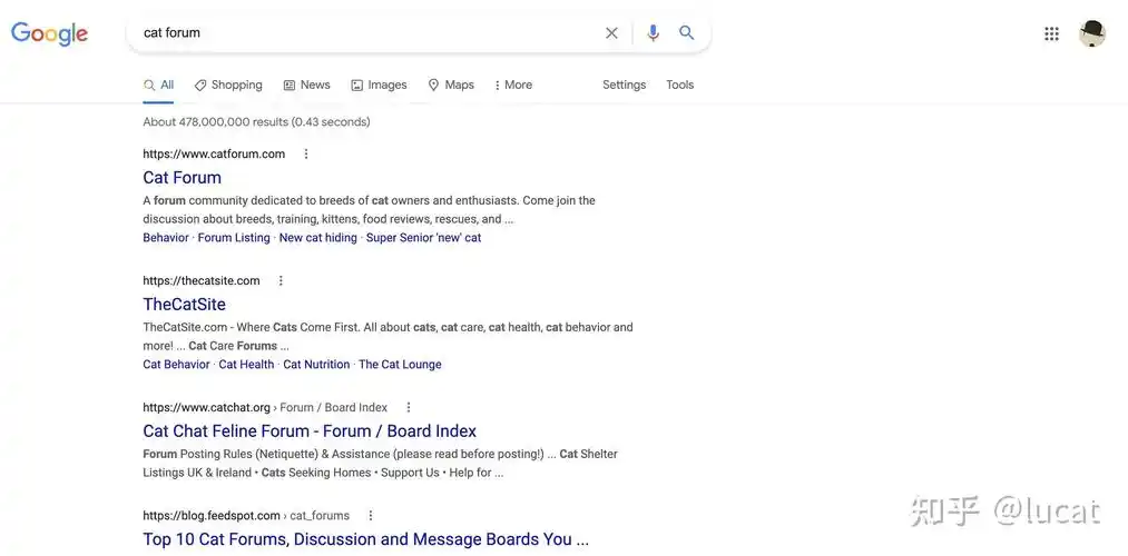 长春SEO教程如何实操？零基础能否快速入门？
