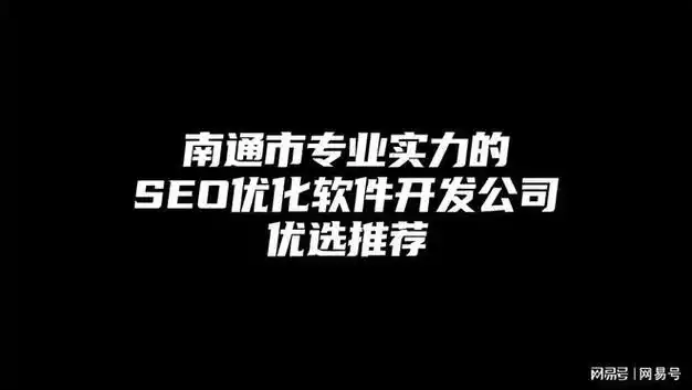 南通海门专业seo公司推荐有哪些靠谱选择，如何判断他们的真实效果？