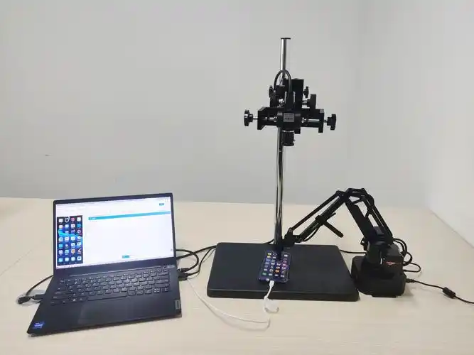 万宁seo自动化到底能省多少时间 它适合什么样的本地企业