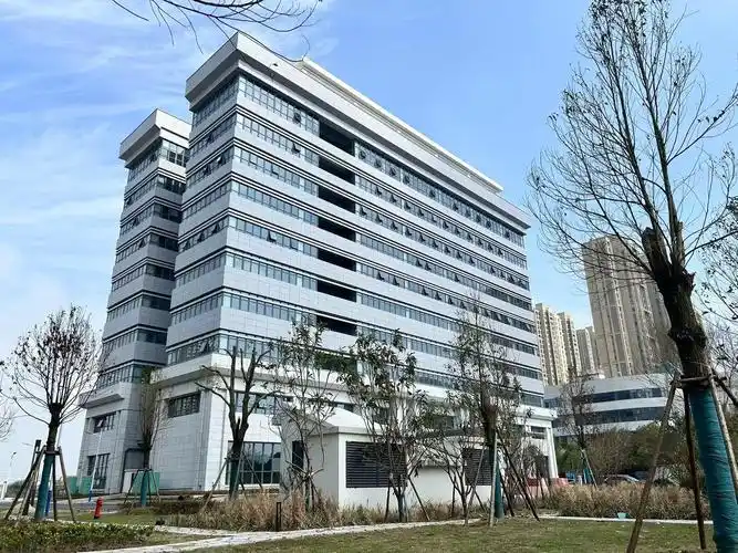 南乐seo公司怎么选？ 哪些服务项目真的有用？