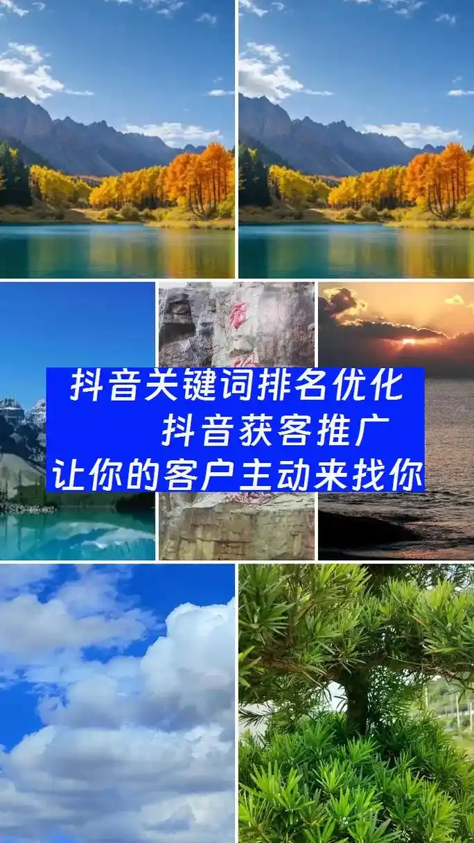 安徽抖音SEO哪个适用？ 本地商家和企业该如何选择？