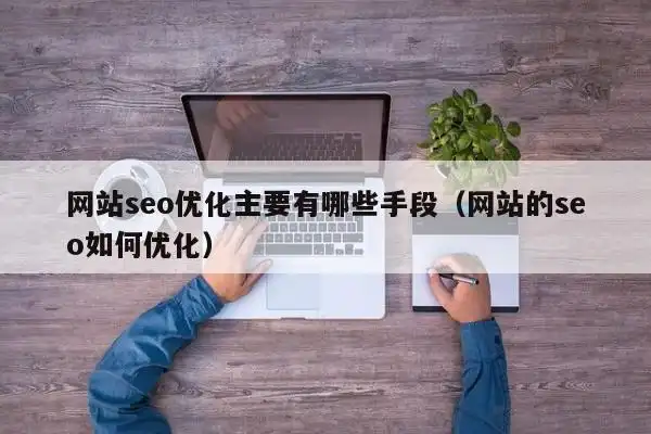 龙华SEO软件如何挑选？ 它能带来哪些实际提升？
