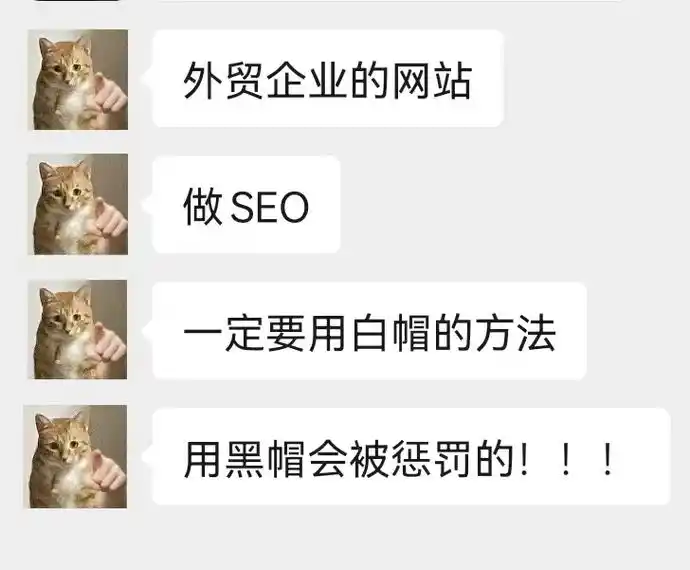 SEO黑帽白帽双线布局，流量翻倍真相与平台规则陷阱？