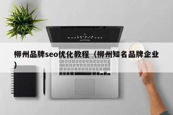 柳州谷歌SEO优化价格多少才合理？ 哪些因素会影响最终报价？