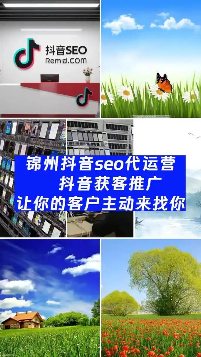 锦州SEO网站效果如何？能否解决流量转化难题？