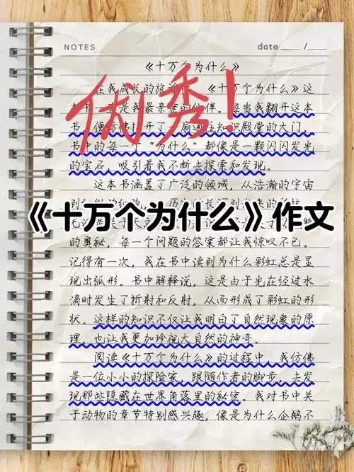 为什么读SEO十万个为什么？作文如何让知识活起来？