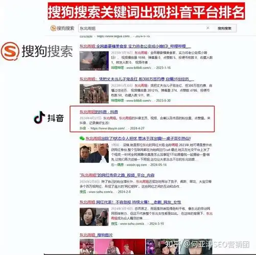 西藏抖音排名SEO如何提升本地可见度？ 抖音内容怎样优化才更受西藏用户欢迎？