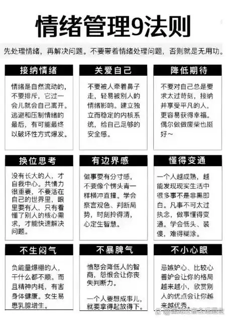 豆豆SEO真的有效吗？ 如何判断它是否适合你的网站？