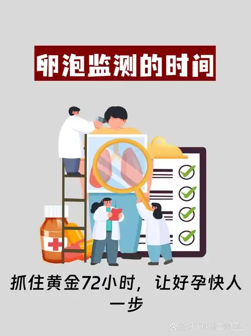 如何监测卵泡萎缩，SEO能做什么？ 它真的对备孕用户有用吗？