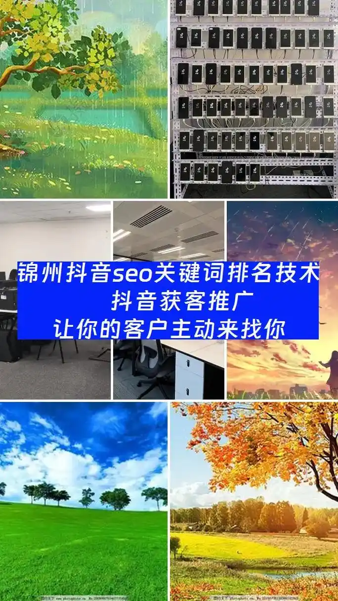锦州seo公司软件排名？哪些工具能让本地企业网站更有效？
