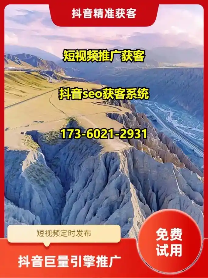 丽水知名SEO推广，效果能否持久？排名提升带来了多少转化？