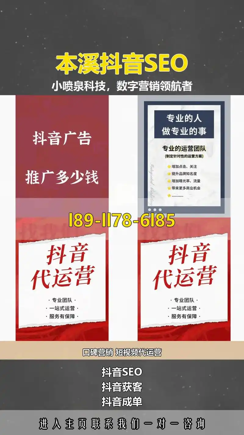 本溪SEO软件由哪家开发？功能是否真的有效？