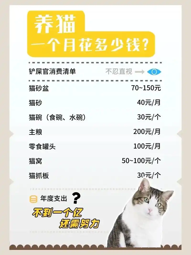 淮北企业做SEO推广一般要花多少钱？