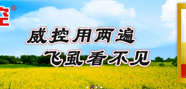 运城seo优化项目如何实现突破？效果提升的路径在哪里？