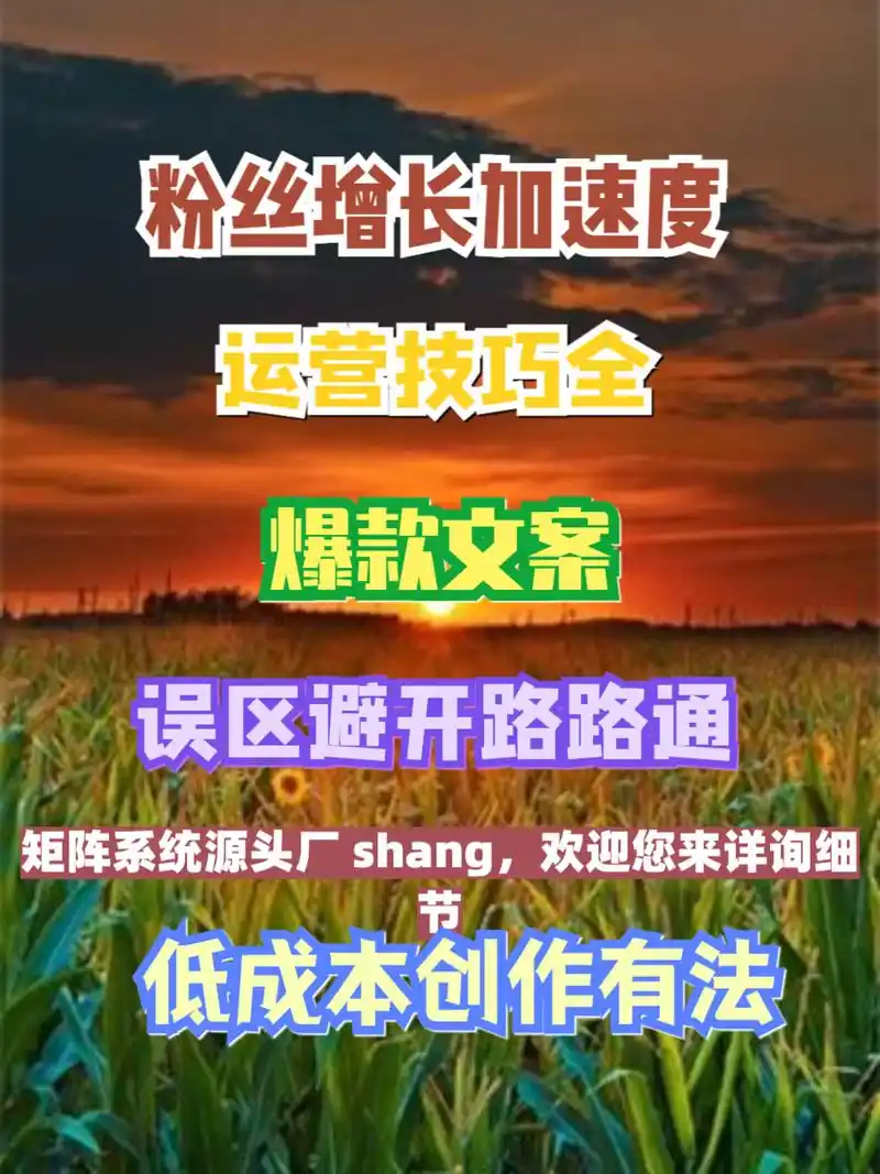 秦皇岛seo优化矩阵怎么搭建？ 如何让它带来实际流量？