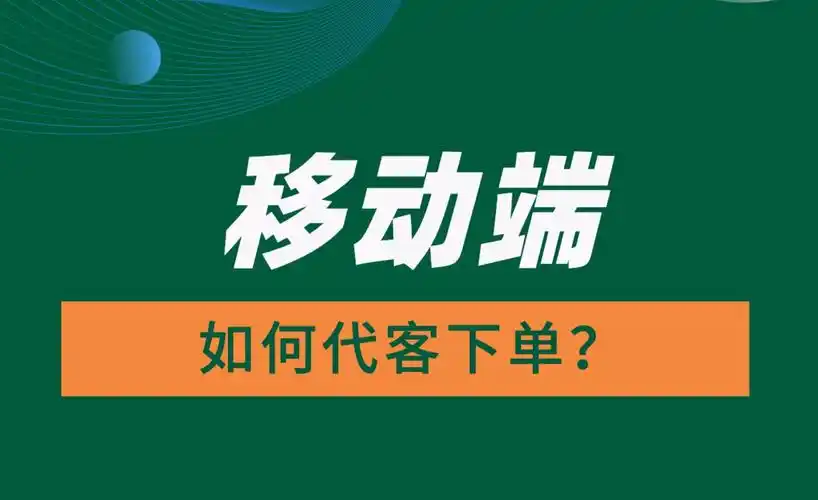 seo快速立联火27星是什么，它如何影响网站收录效率？