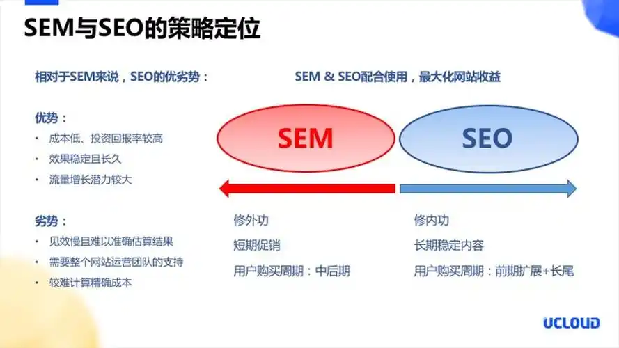 什么是SEMSEO分类，它具体包含哪些核心策略？