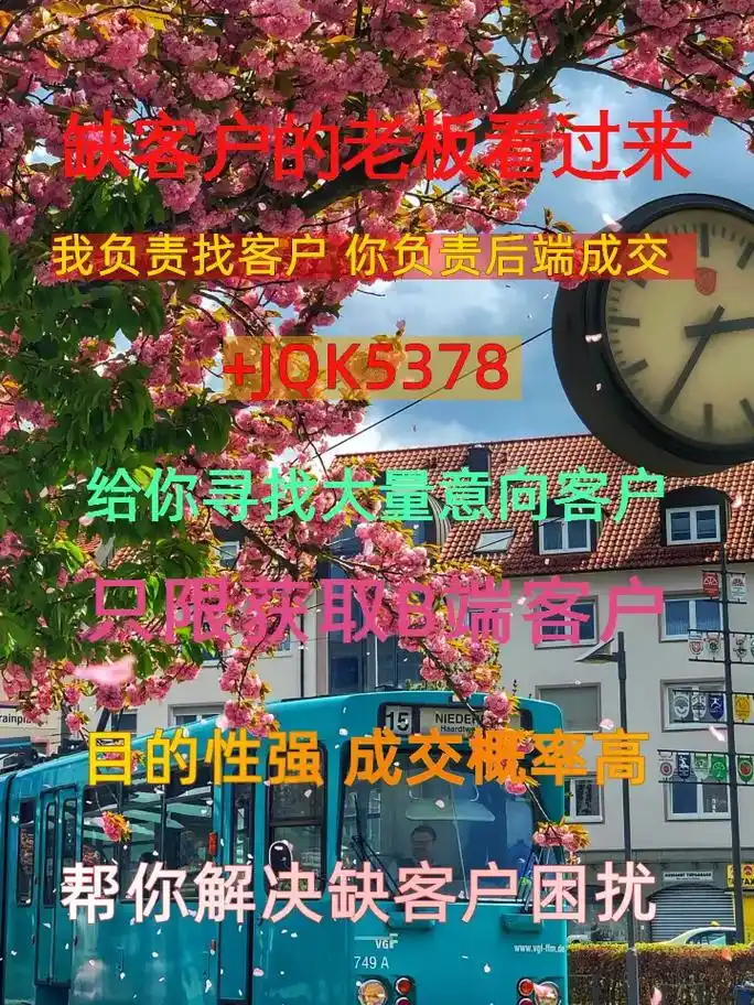 株洲的SEO主管，日常主要做哪些具体工作？