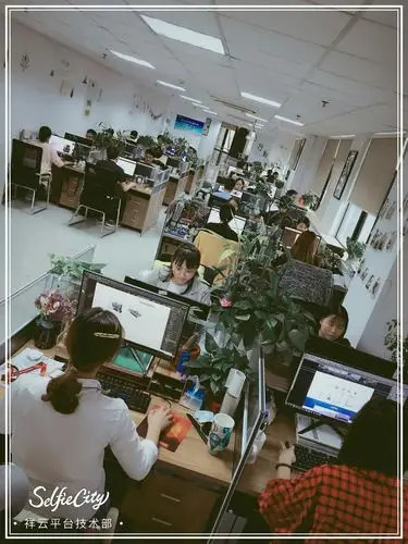 朔州SEO优化口碑怎么样，本地企业做推广有效果吗？