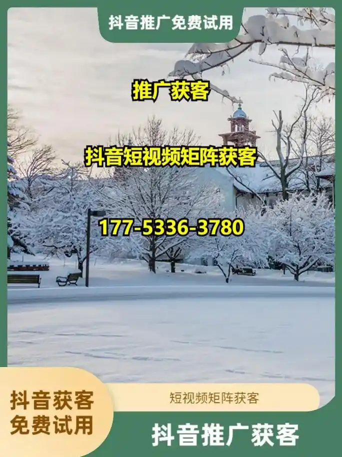 咸宁SEO费用明细包含哪些服务？ 价格由哪些因素决定？