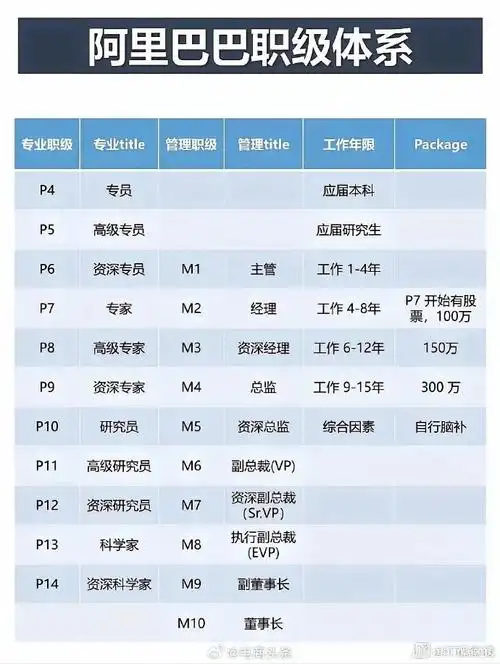 SEO五类岗位核心要求？哪些能力决定入职门槛？