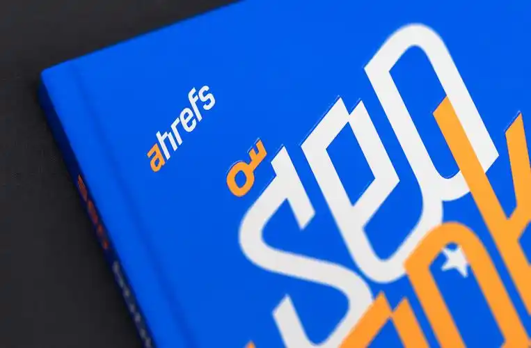 “seo某”这个品牌，具体是哪家公司做的？