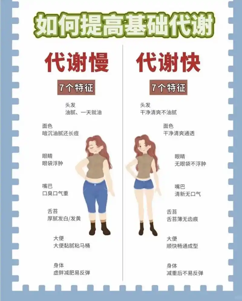 SEO基础代谢减肥是真的有效吗？ 它与节食减肥的根本区别是什么？