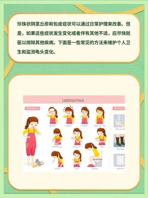 什么是“小鸡seo”？ 它能解决哪些实际问题？