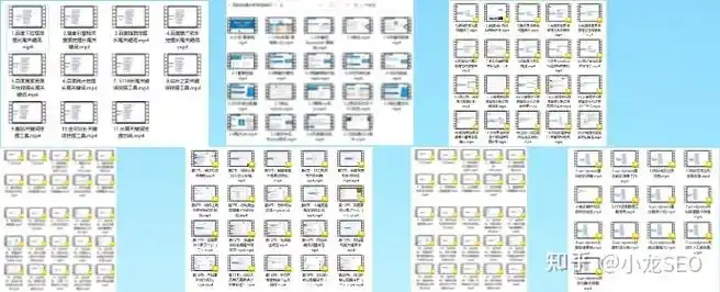 浙江SEO起步选哪个品牌？入门推荐有何标准？