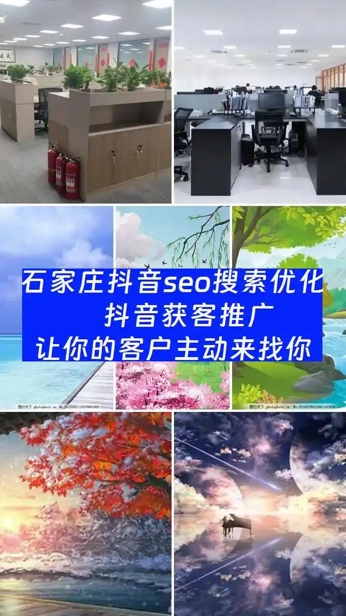 石家庄哪家公司的抖音SEO服务效果比较好？