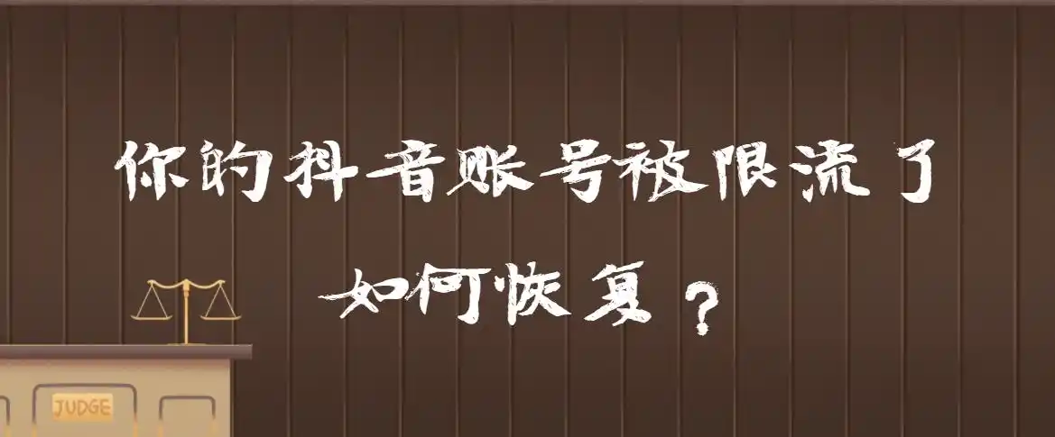 老徐seo如何为实体企业打开流量？实体转型怎样快速见效？