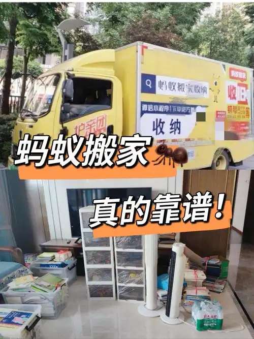 南通大熊seo搬家教程有什么独特之处，搬家时如何避免网站排名下滑