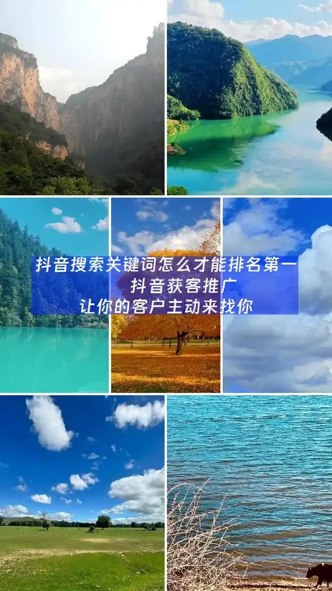 丽水地区的抖音SEO工作室，具体能帮我解决哪些实际问题？